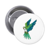 Produits de perroquet de quaker badges avec agrafe