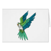 Produits de perroquet de quaker cartes