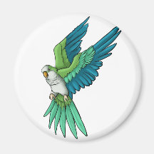 Produits de perroquet de quaker magnets pour réfrigérateur