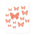 Produits frais de papillons ! carte postale