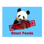 Produits mis en danger de panda géant carte postale