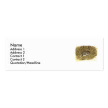 Profil/carte de visite de souris de champ