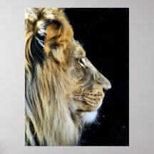 Profil d'un prédateur posters