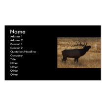 profil ou carte de visite, bugle d'élans