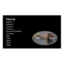 profil ou carte de visite, castor