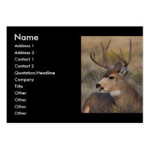 profil ou carte de visite, cerf commun