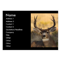 profil ou carte de visite, cerf commun