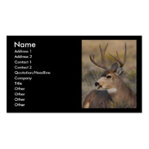 profil ou carte de visite, cerf commun
