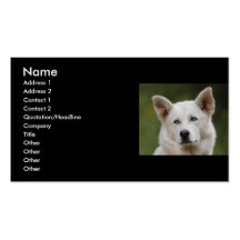 profil ou carte de visite, chien