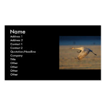 profil ou carte de visite, grue