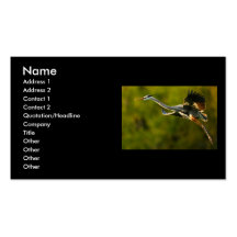 profil ou carte de visite, héron