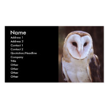 profil ou carte de visite, hibou