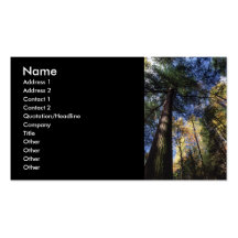 profil ou carte de visite, peuplement vieux