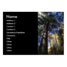 profil ou carte de visite, peuplement vieux