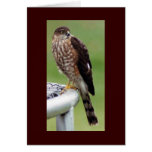 Profil parfait carte de vœux