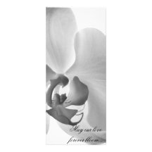 Programme blanc de mariage d'orchidée invitations personnalisables