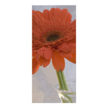 Programme de mariage de marguerite orange double cartes customisées