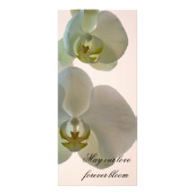 Programme élégant de mariage d'orchidée motif pour double carte