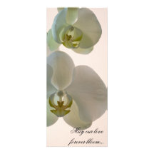 Programme élégant de mariage d'orchidée cartons d'invitation