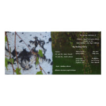 Programme pleurant de mariage de bouleau double carte en  couleur