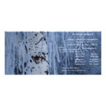 Programme pleurant de mariage de bouleau d'hiver modèle de double carte
