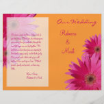 Programme rose de mariage de marguerite de Gerbera Prospectus