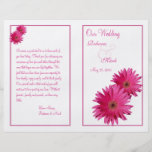 Programme rose de mariage de marguerite de Gerbera Prospectus En Couleur