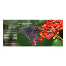 Programme rouge et noir de mariage de papillon double carte