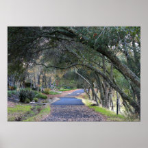 "Promenade d'automne " Affiches