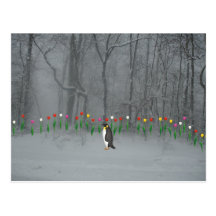 Promenade de ressort de pingouin cartes postales