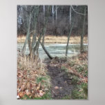 Promenade en parc affiche