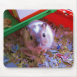 Protection de gerbille tapis de souris
