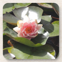 Protection et fleur de lis sous-bock
