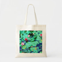 PROTECTIONS DE LILLY DE L'EAU SAC