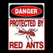 Protégé par les fourmis rouges posters
