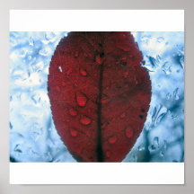 prune posters