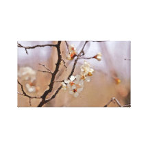 Prune sauvage toile tendue sur châssis