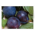 Prunes Carte De Vœux