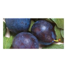 Prunes Cartes De Vœux Avec Photo