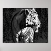 psp foncé de guerre biologique de lumière de tigre poster