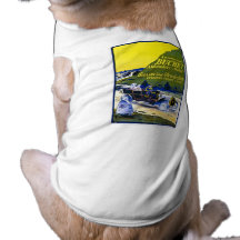Publicité d'automobiles de Buchet - Français vinta Vêtement Pour Animal Domestique