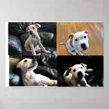Puissance de chiot posters