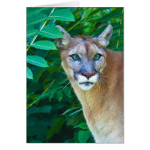 Puma dans la carte de voeux de note ou de jungle
