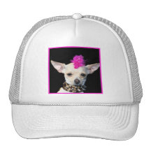 Punk de chiwawa casquette