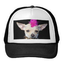 Punk de chiwawa casquette de camionneur