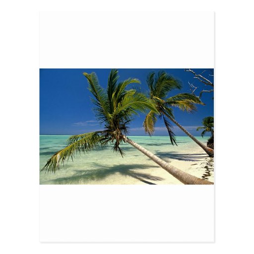 Punta Cana Carte Postale