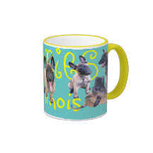 puppies malinois tasse