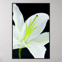 Pur et Simple2 posters