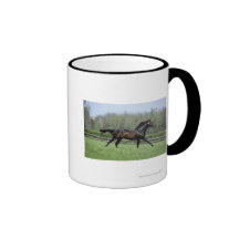 Pur sangs de cheval, Wassl 1988, Tasses À Café