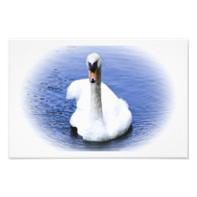 Pureté Art Photographique